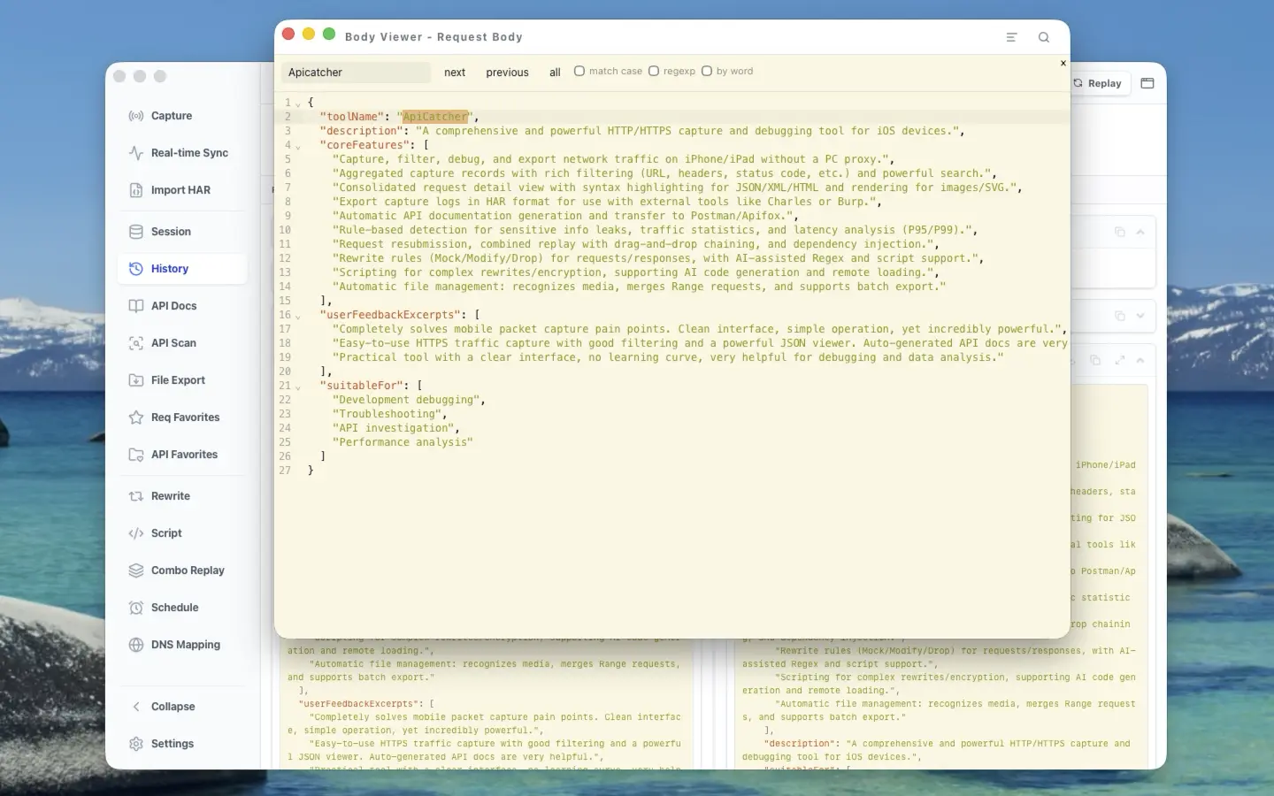 ApiCatcher | JSON Viewer