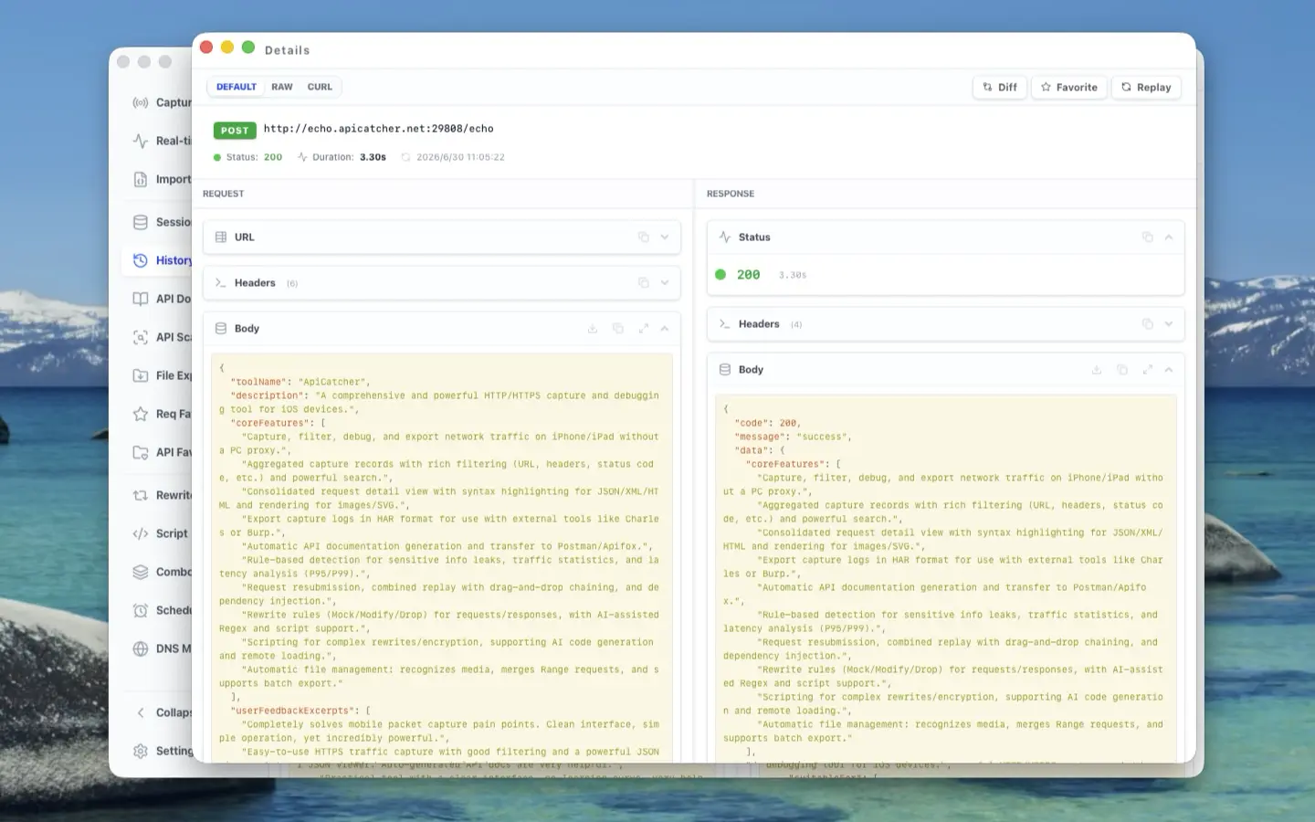 ApiCatcher | Request Details Window
