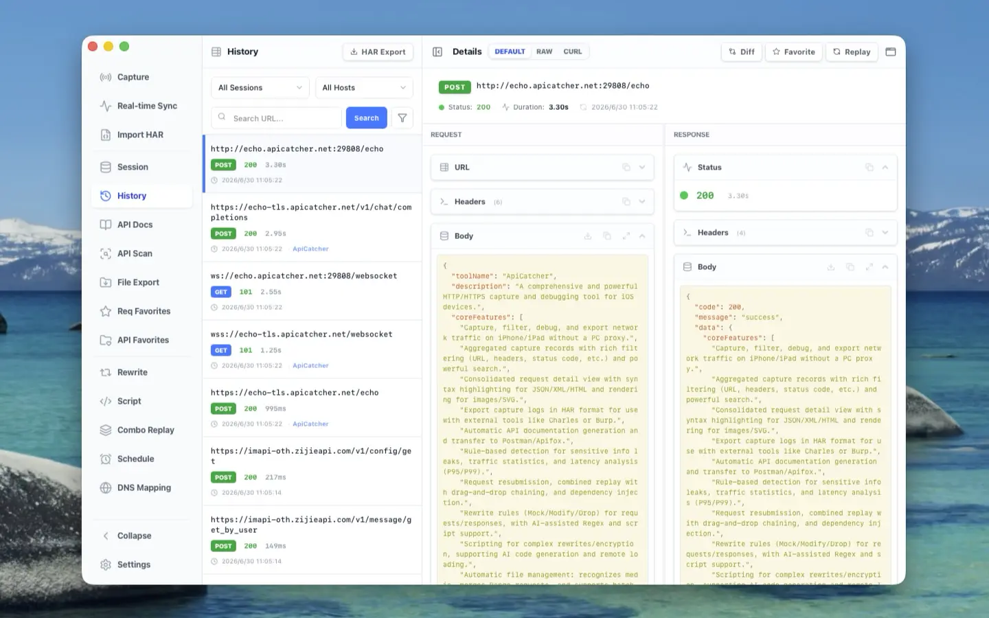 ApiCatcher | Request History