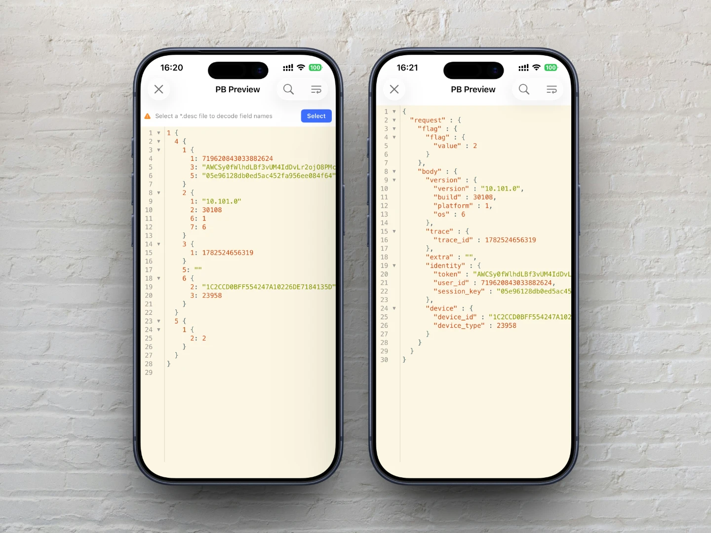 Protobuf decode result comparison with and without descriptor file: left side shows fields without names, right side displays full field names
