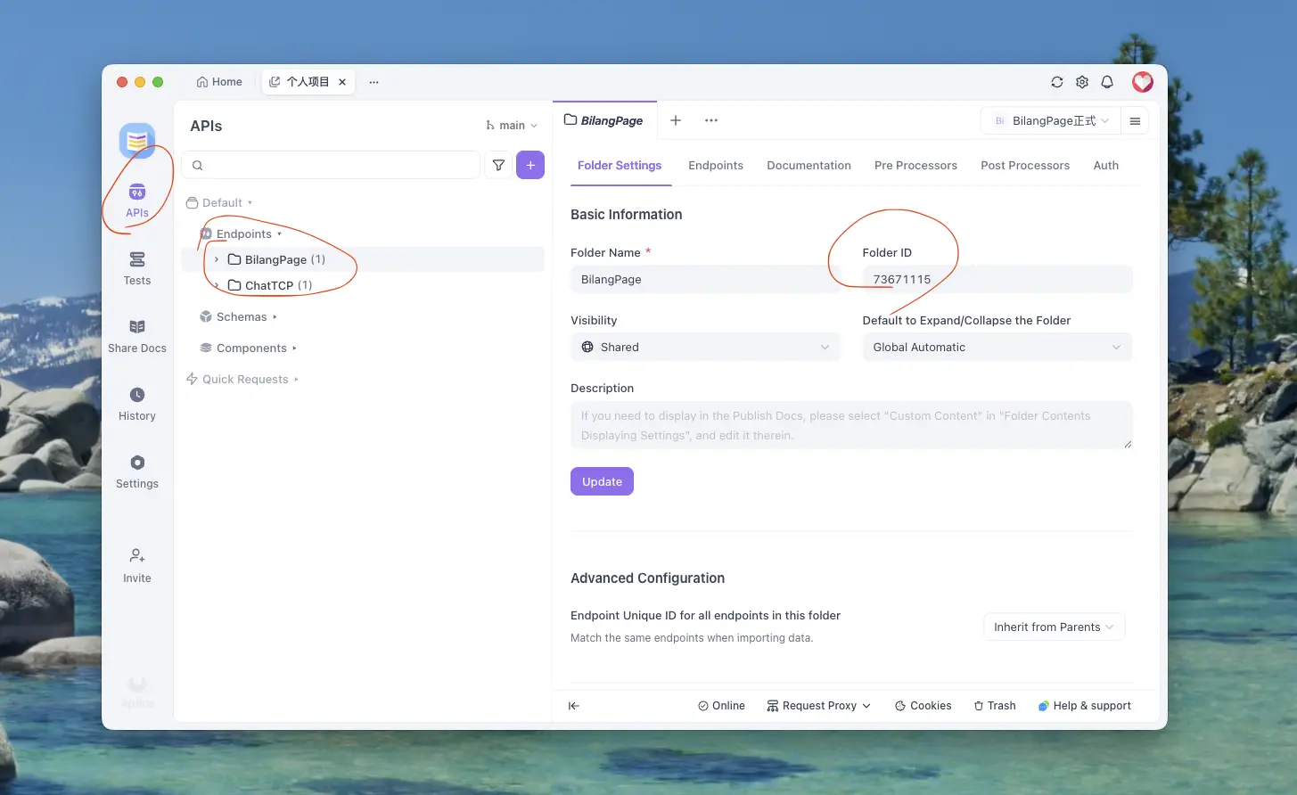 How to get Apifox Directory ID