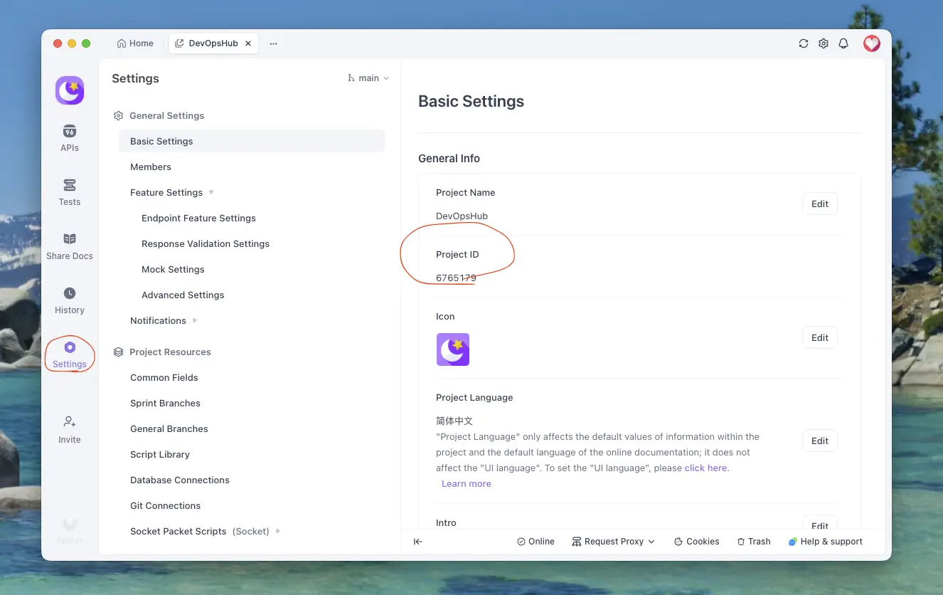 How to Export Captured HTTPS Requests to Apifox