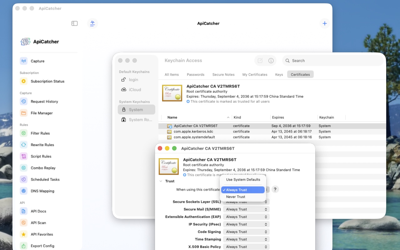 Set the ApiCatcher CA certificate to Always Trust in Keychain Access