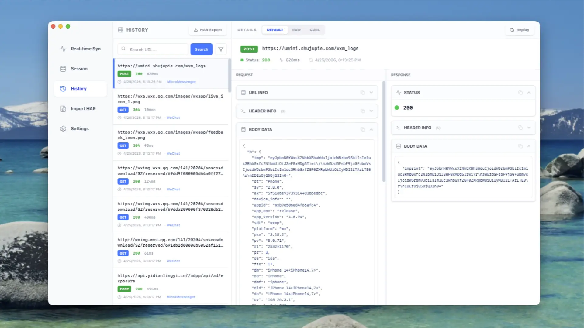 ApiCatcher Desktop History & Analysis
