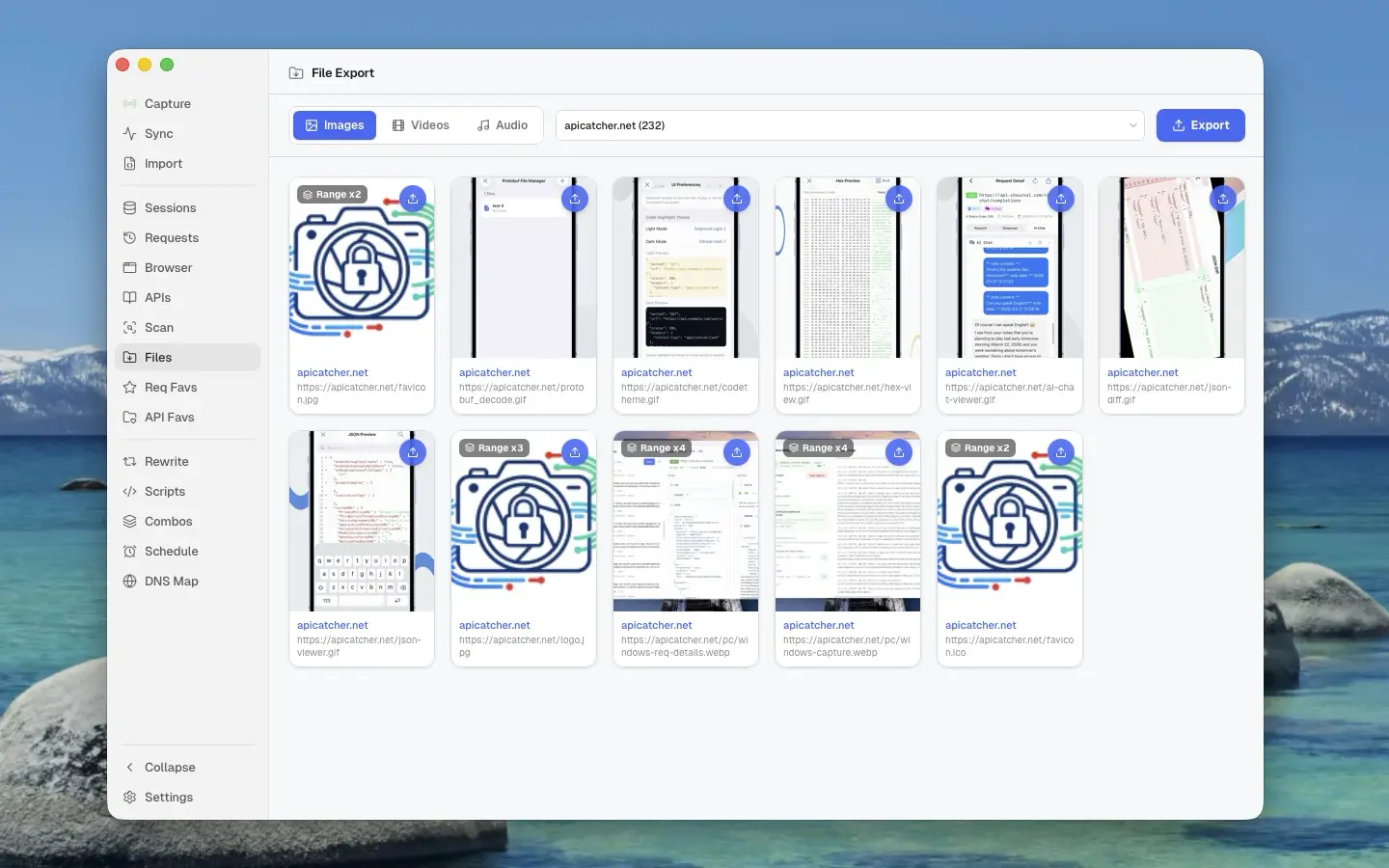 ApiCatcher for macOS | Files
