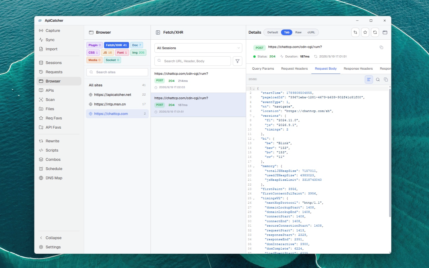 ApiCatcher for Windows | Browser