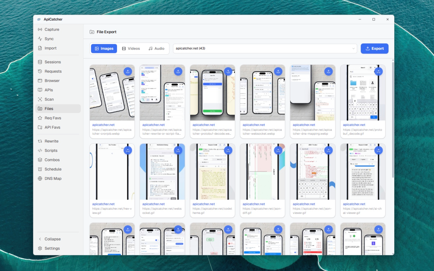 ApiCatcher for Windows | Files