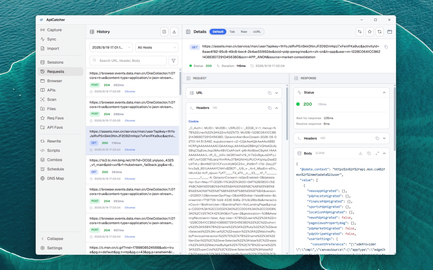 ApiCatcher for Windows | Request History