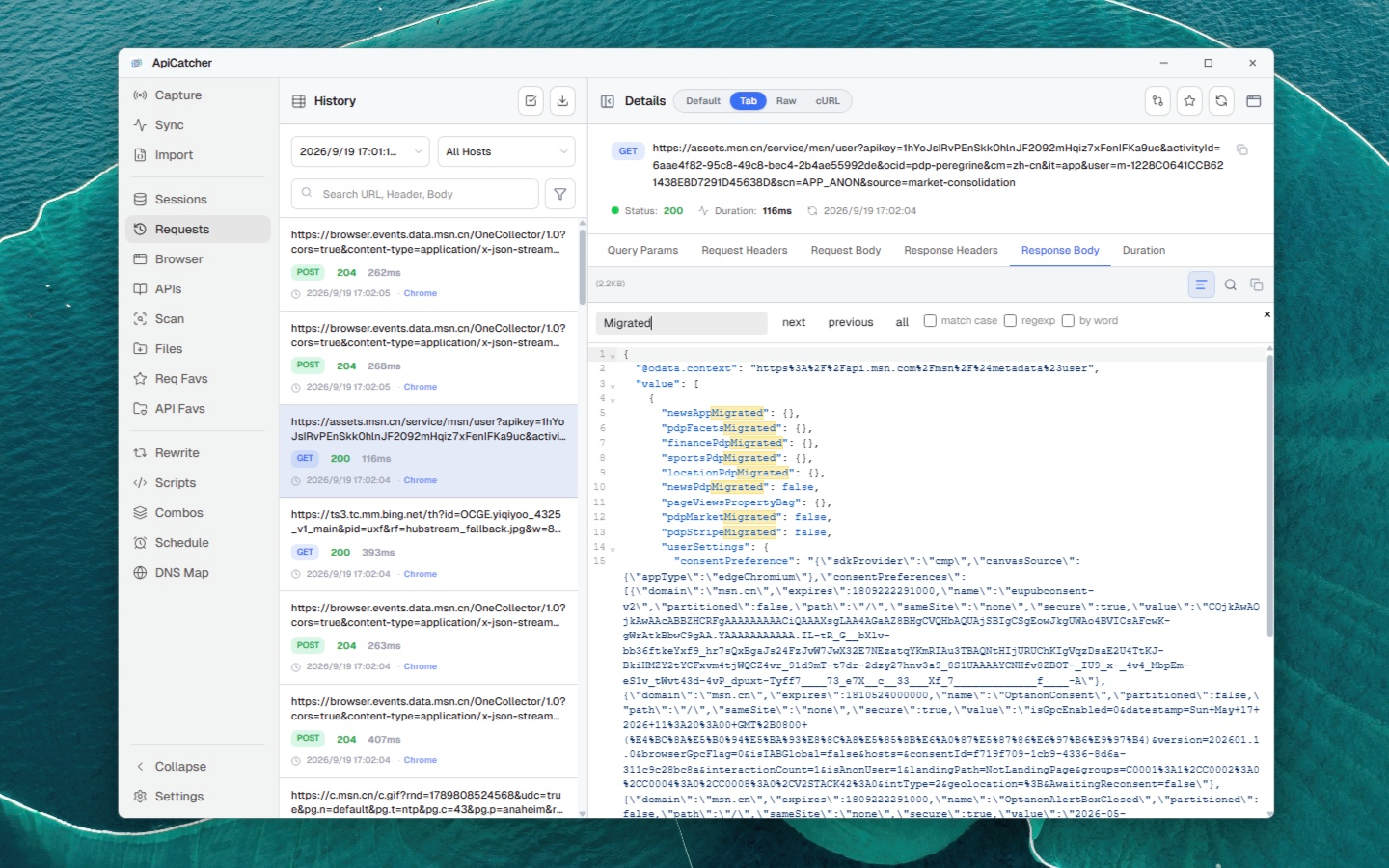 ApiCatcher for Windows | Request Details