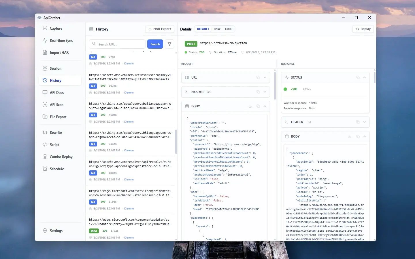 ApiCatcher for Windows | HTTP Request Details